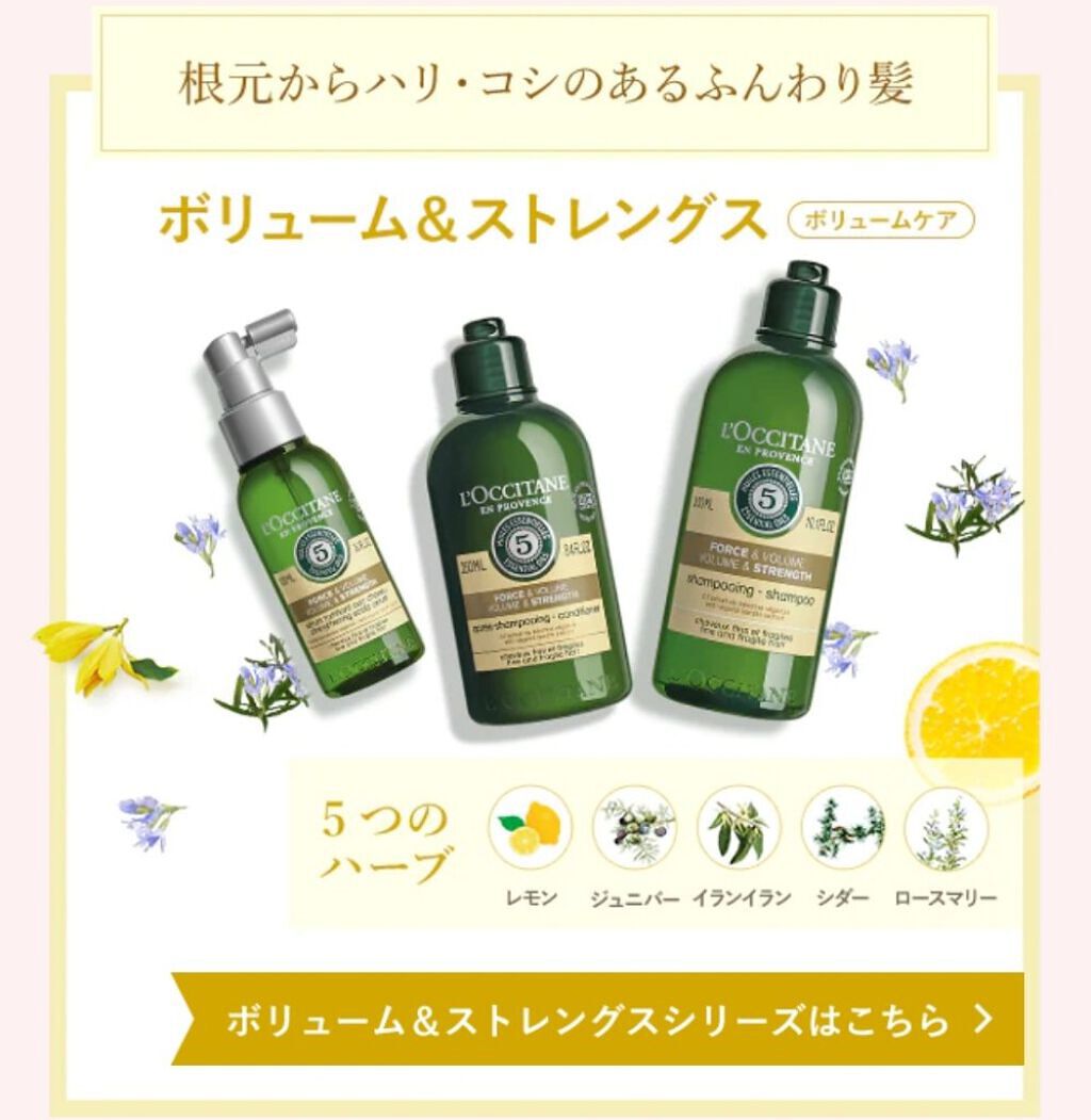 ロクシタンファイブハーブスボリューム＆ストレングスシャンプーヘアコンディショナー Amazon.co.jp: ロクシタン(L'OCCITANE) ファイブハーブス