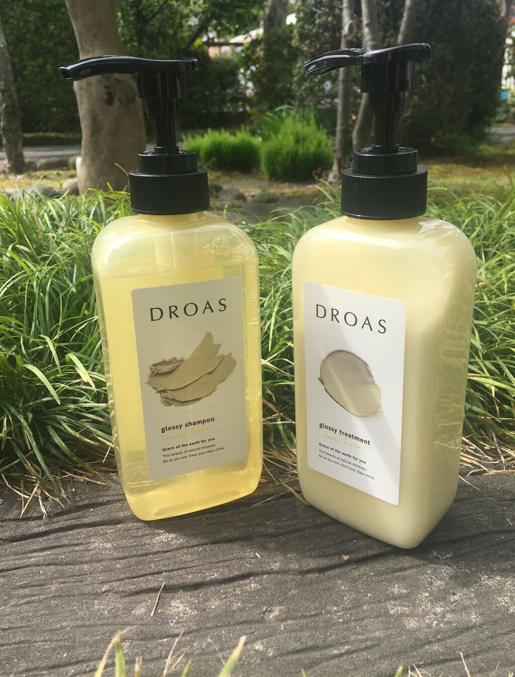 グロッシーシャンプー/DROAS/市販シャンプーを使ったクチコミ(1枚目)
