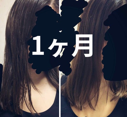 ヘアアクセルレーター レモンライムの香り/加美乃素本舗/頭皮ローションを使ったクチコミ(1枚目)