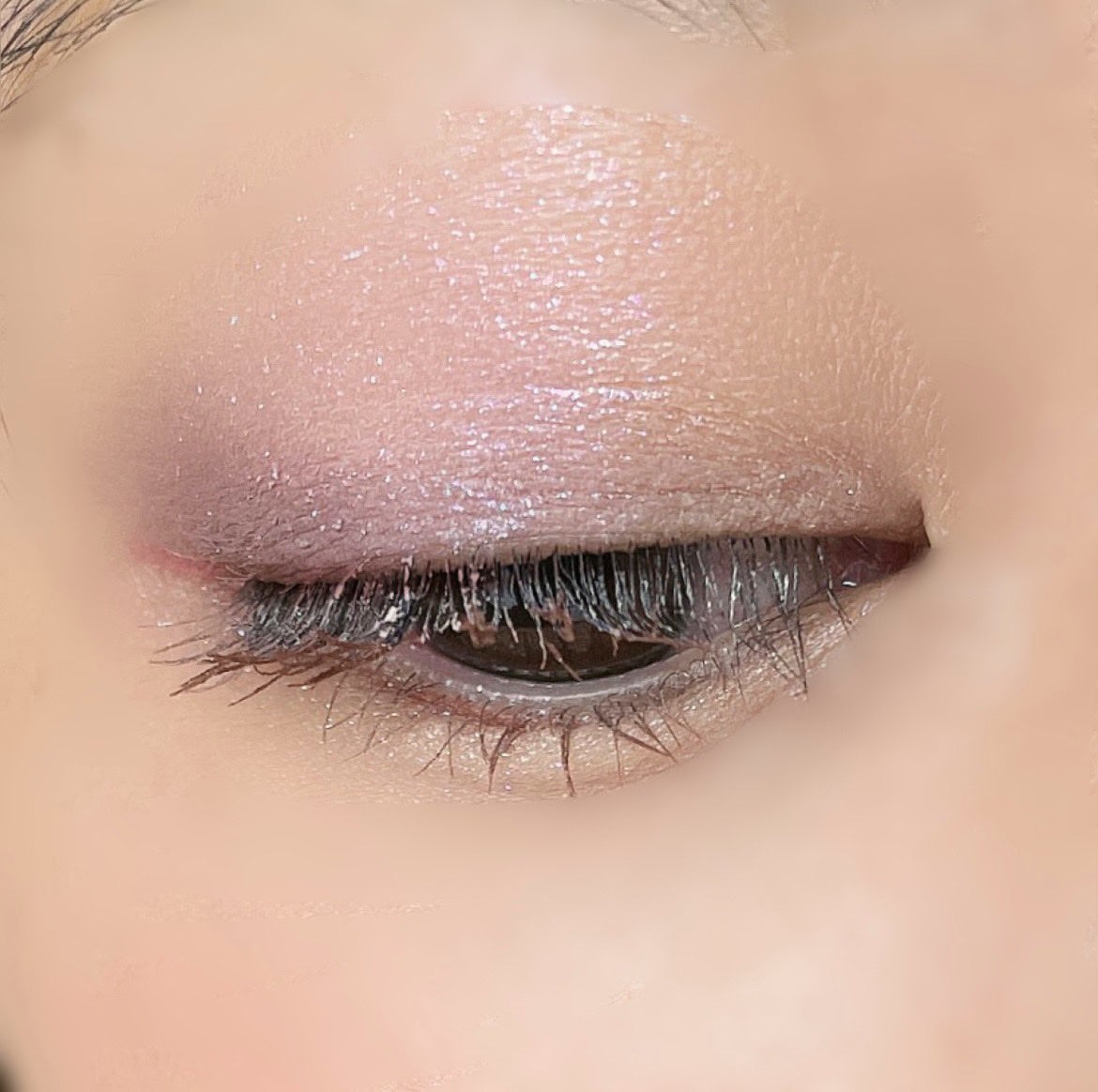 ムードブレンディングシャドウパレット/Coralhaze/アイシャドウパレットを使ったクチコミ(5枚目)