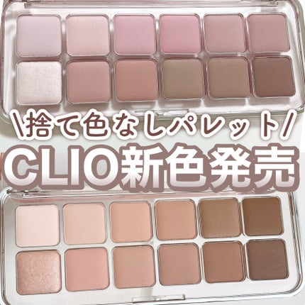 プロ アイ パレット エアー/CLIO/アイシャドウパレットを使ったクチコミ(1枚目)