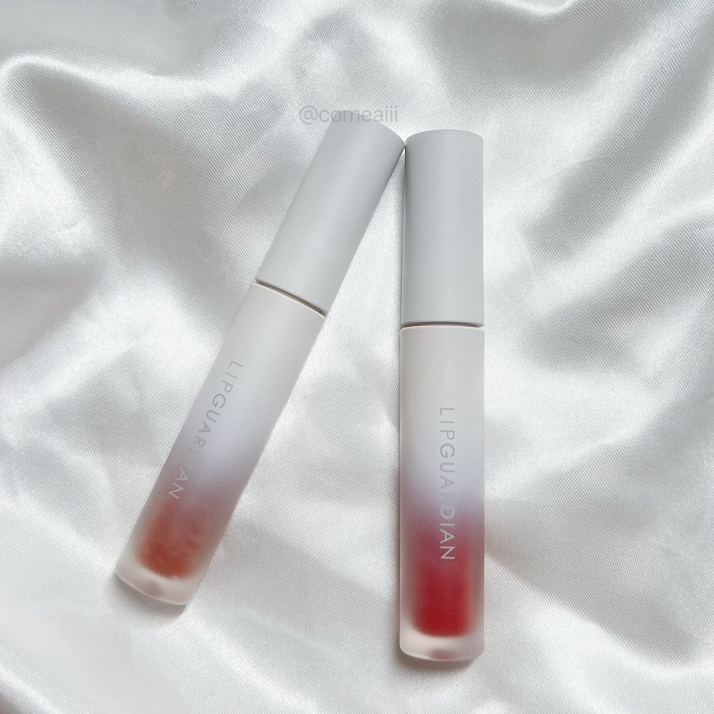 マットヴェールティント/LIPGUARDIAN/リップティントを使ったクチコミ(2枚目)