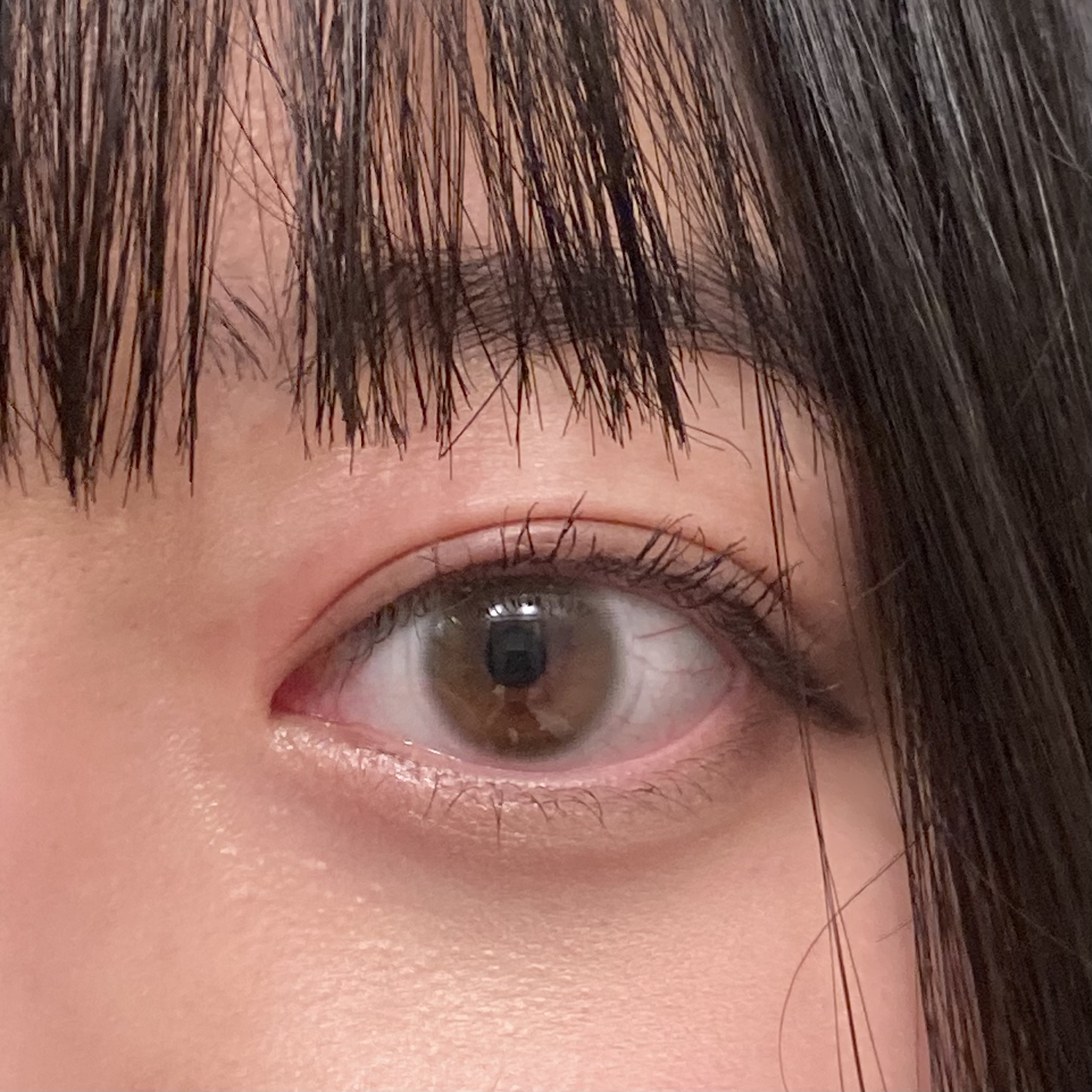 ReVIA 1day/ReVIA/ワンデー（１DAY）カラコンを使ったクチコミ（1枚目）