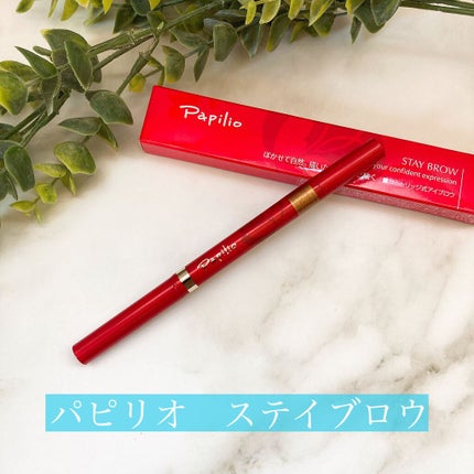 ステイブロウ/Papilio/アイブロウペンシルを使ったクチコミ(1枚目)