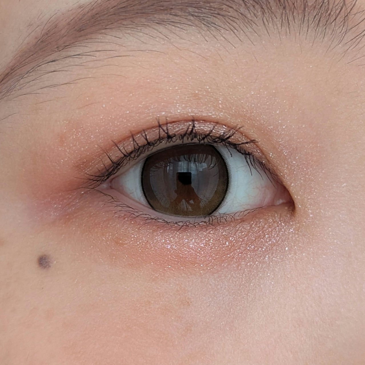 エレガンス ラズル スターアイカラー/エレガンス ラズル /単色アイシャドウを使ったクチコミ（2枚目）