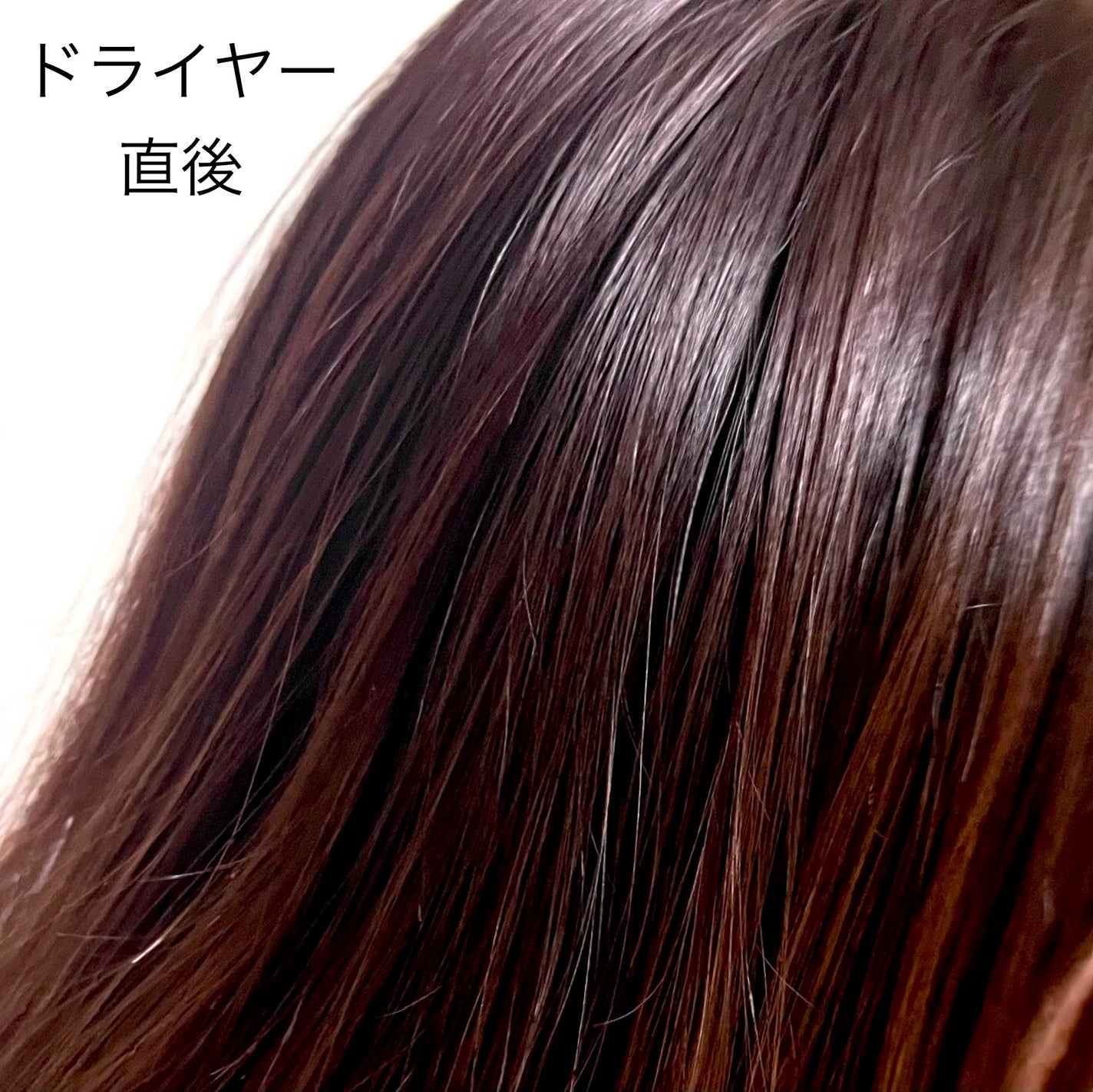 ナイトコラーゲンシャンプーミッドナイトフォレスト/treecell/市販シャンプーを使ったクチコミ(5枚目)