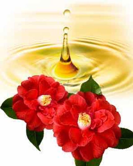 大島椿(ツバキ油)/大島椿/ヘアオイルを使ったクチコミ(1枚目)