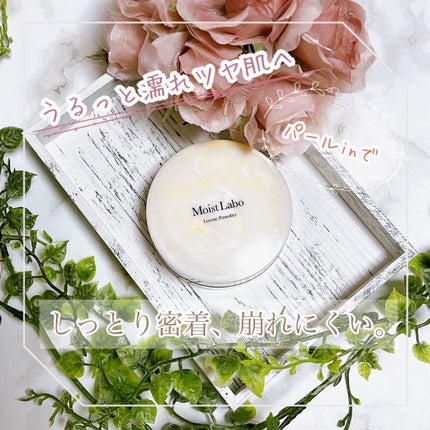 モイストラボ ルースパウダー/Moist Labo/ルースパウダーを使ったクチコミ(1枚目)