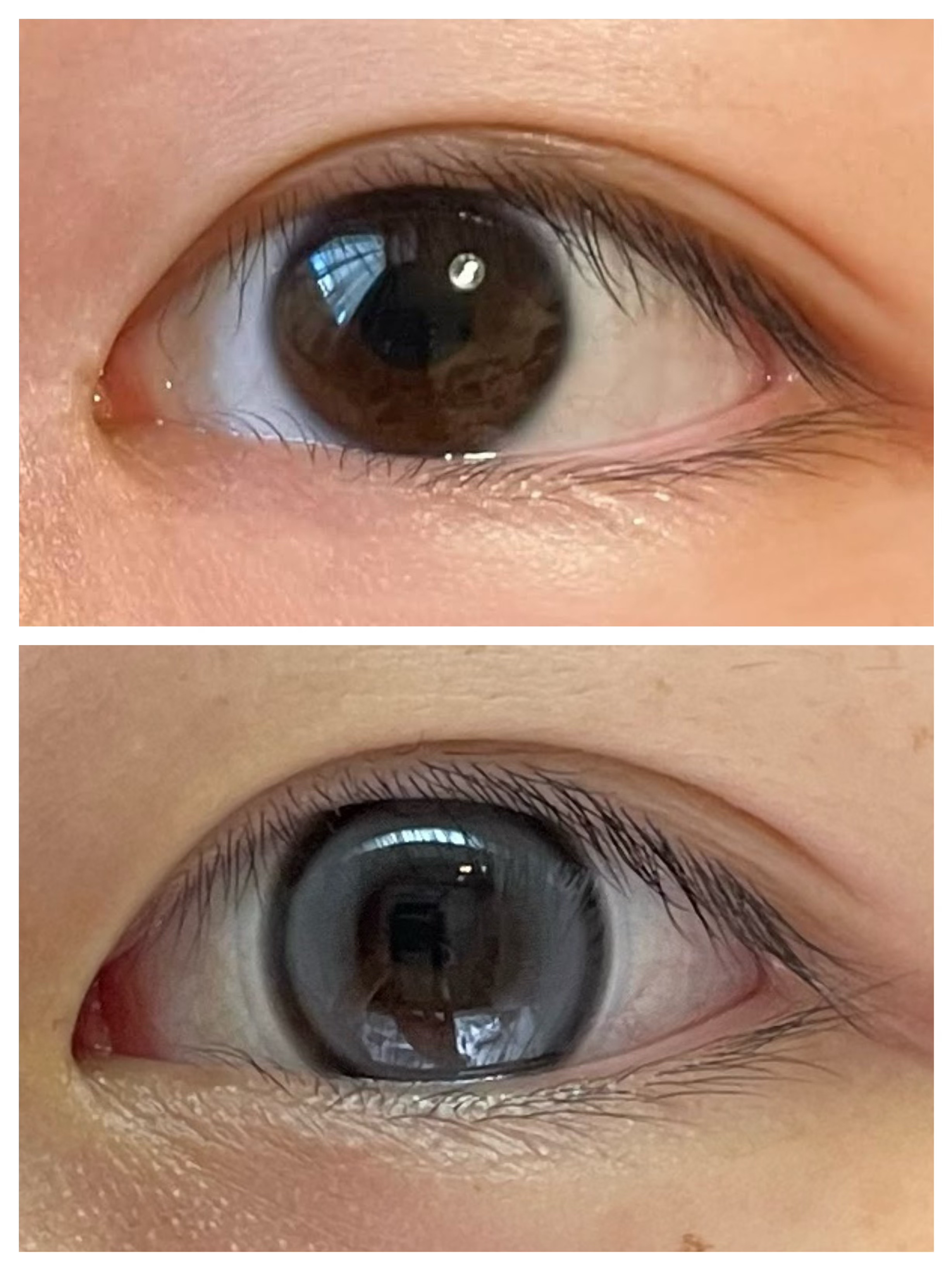 cicica 1day モアナグレー/cicica/ワンデー（１DAY）カラコンを使ったクチコミ（2枚目）