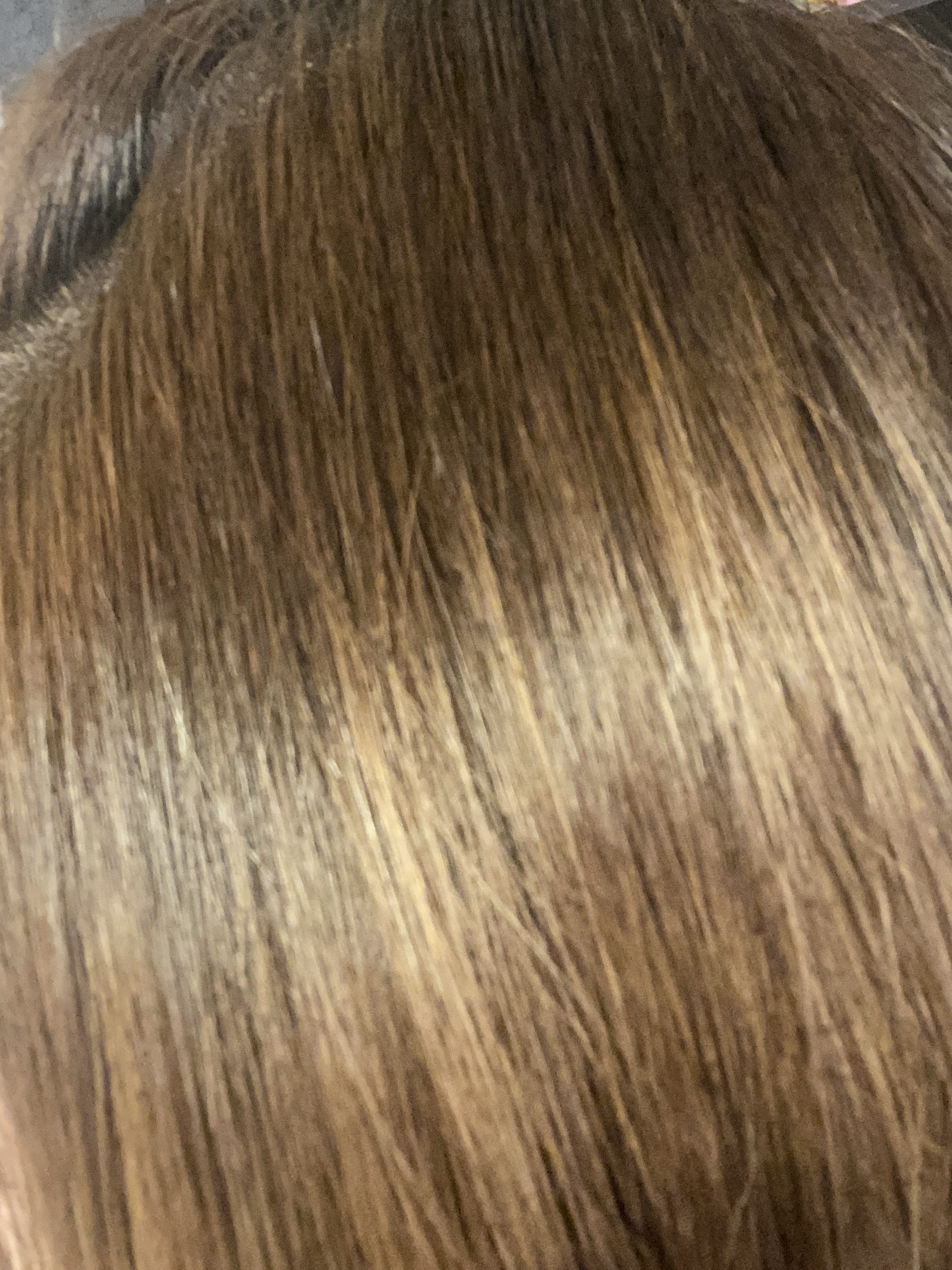 ナイトリペア プレミアム 集中ヘアマスク/ハニーク/ヘアマスク・ヘアパックを使ったクチコミ（2枚目）