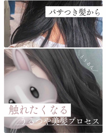 こんにちは、こんばんは！mimiです🐰
今回はヘアケアについてお話していきます🙌


突然ですが、橋本環奈ちゃんってさらさらで綺麗な美髪じゃないですか？😳テレビを見ていても、縮れ毛が一切見当たらなくて、