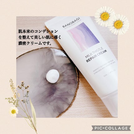 ミルクシスル リペアクリーム/BANOBAGI/フェイスクリームを使ったクチコミ(2枚目)