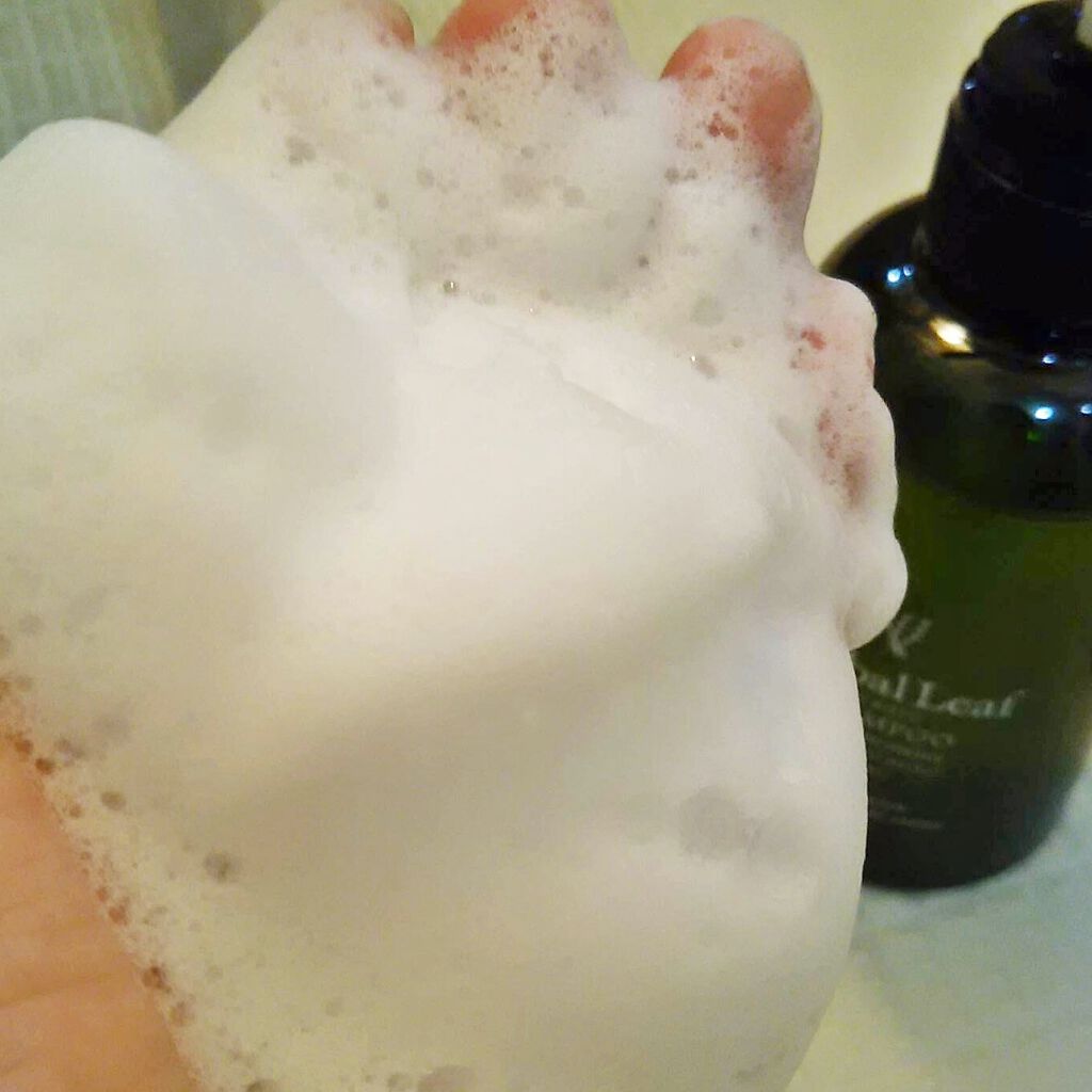 オーガニックシャンプー／コンディショナー/ハーバルリーフ/市販シャンプーを使ったクチコミ（3枚目）