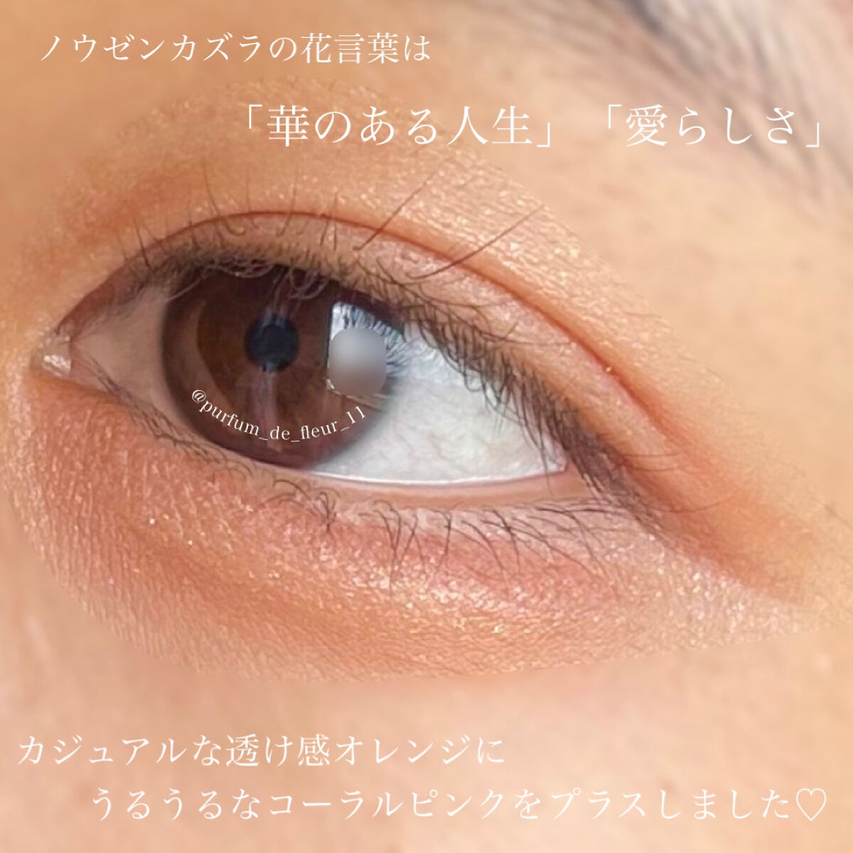 パーフェクトマルチアイズ/キャンメイク/アイシャドウパレットを使ったクチコミ（2枚目）