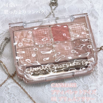 プティパレットアイズ/キャンメイク/パウダーアイシャドウを使ったクチコミ(2枚目)