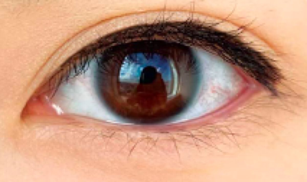 エグザジェレート ラスティングリキッドアイライナー WP 101