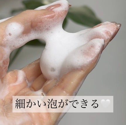 プレミ アムビーガン 弱酸性ヒアルロン酸フォームクレンザー/dinsee/クレンジングクリームを使ったクチコミ(6枚目)