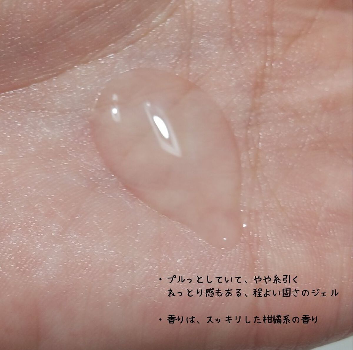 シカアロエクレンジングフォーム/FlEEF/その他洗顔料を使ったクチコミ（2枚目）