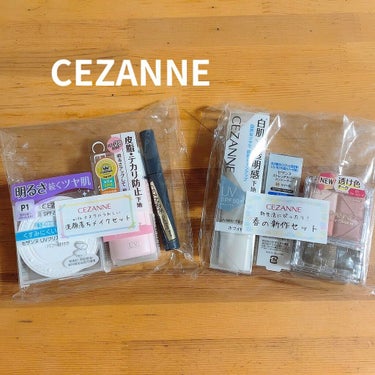 ミックスカラーチークN 01 ピンク系/CEZANNE/パウダーチークを使ったクチコミ（1枚目）