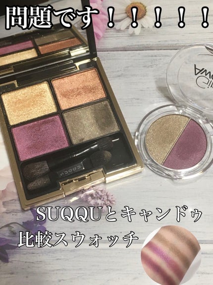 デザイニング カラー アイズ/SUQQU/アイシャドウパレットを使ったクチコミ(1枚目)