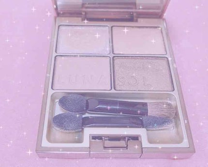 スキンモデリングアイズ/LUNASOL/アイシャドウパレットを使ったクチコミ(1枚目)