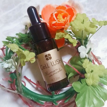 ヒト幹細胞配合美容液/セルラッシュ/美容液を使ったクチコミ(1枚目)