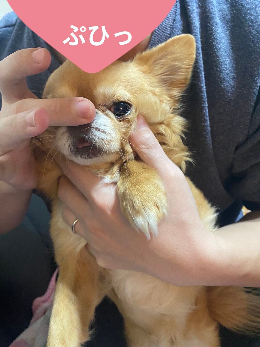 アイ カラー クォード/TOM FORD BEAUTY/アイシャドウパレットを使ったクチコミ(8枚目)