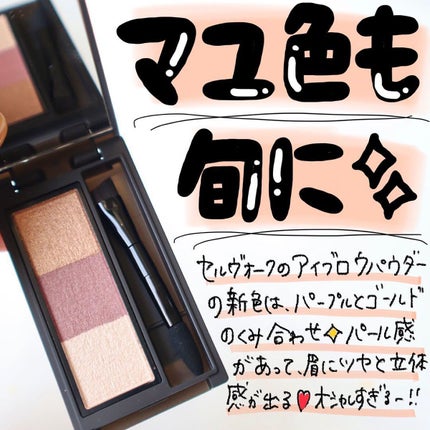 セルヴォーク インディケイトアイブロウパウダー/Celvoke/パウダーアイブロウを使ったクチコミ(1枚目)