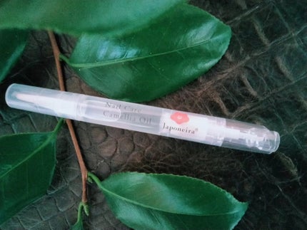 mcgroupakiko on LIPS 「冬山歩きをすると、椿と山茶花の違いを言い当てたり、夏は夕食時庭..」(4枚目)