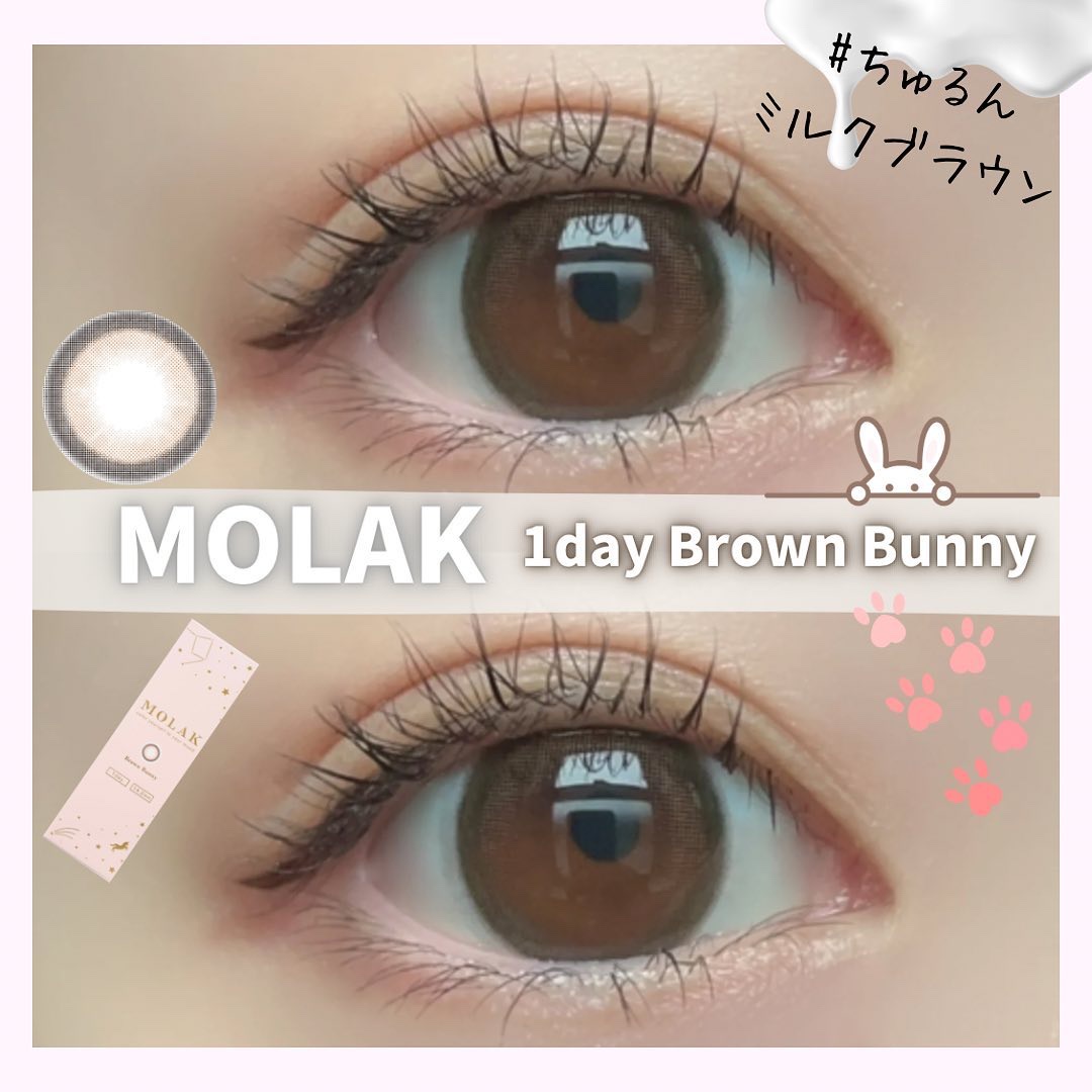MOLAK 1day ブラウンバニー/MOLAK/ワンデー（１DAY）カラコンを使ったクチコミ（1枚目）