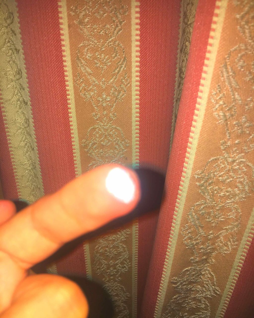 ハナタカパウダー/エルファー/パウダーハイライトを使ったクチコミ（2枚目）