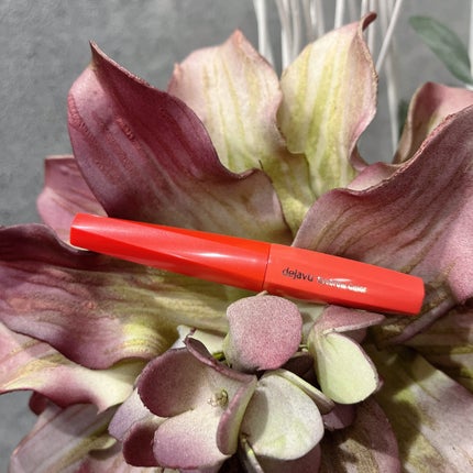 フィルム眉カラー/デジャヴュ/眉マスカラを使ったクチコミ(2枚目)