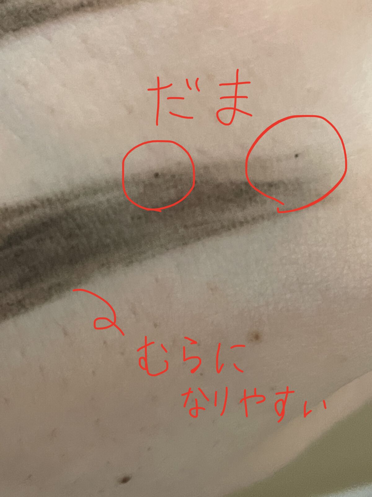 ブロウラッシュEX ブロウコーティング R/ブロウラッシュ/アイブロウコートを使ったクチコミ（1枚目）