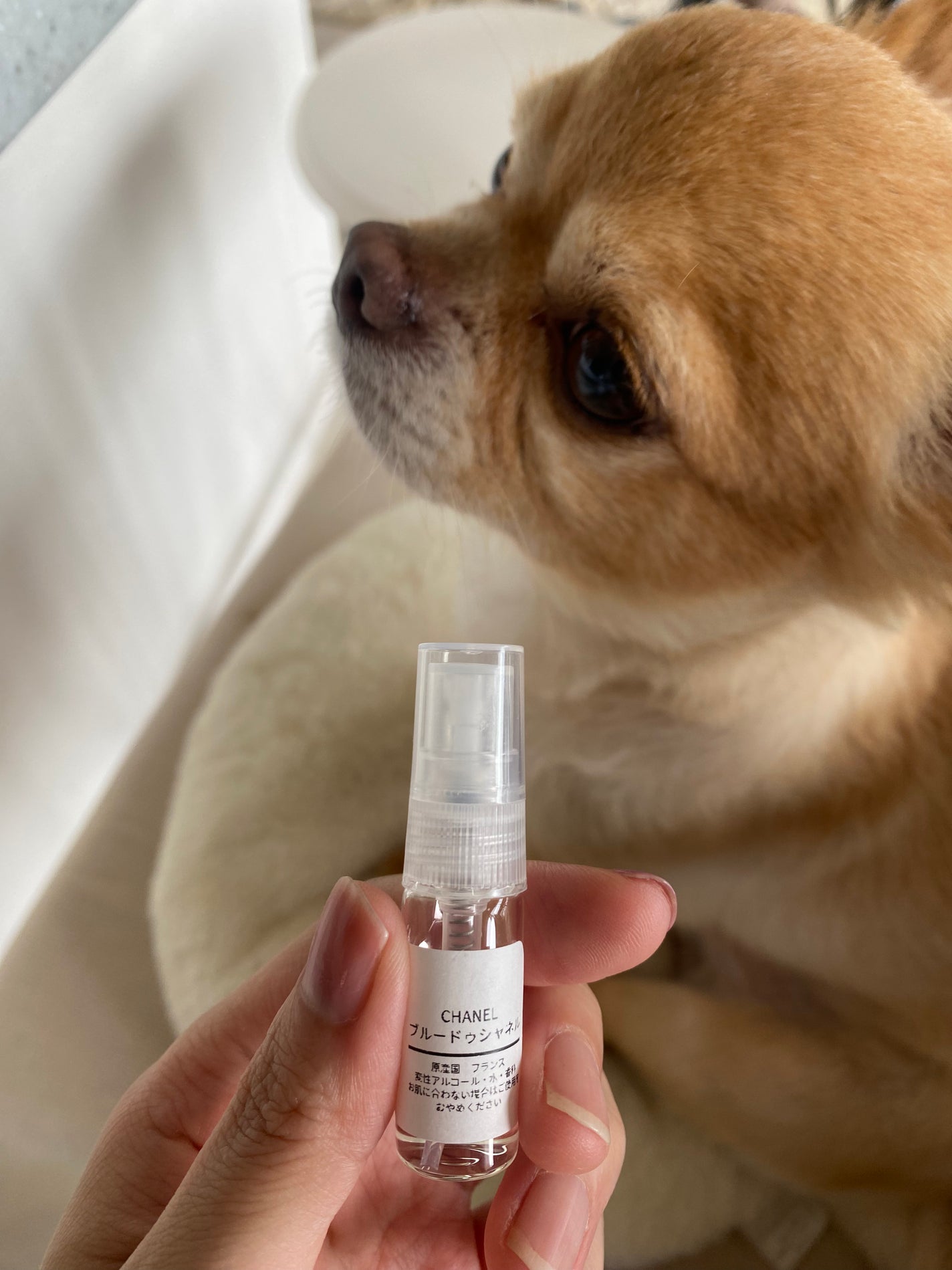 ブルー ドゥ シャネル オードゥ パルファム(ヴァポリザター)/CHANEL/香水(メンズ)を使ったクチコミ(5枚目)