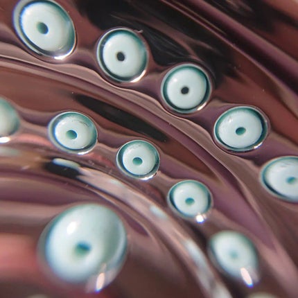 リファ ファインバブルS/ReFa/シャワーヘッドを使ったクチコミ(5枚目)