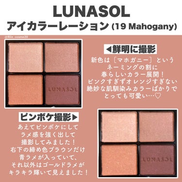 アイカラーレーション 19 Mahogany / LUNASOL(ルナソル) | LIPS