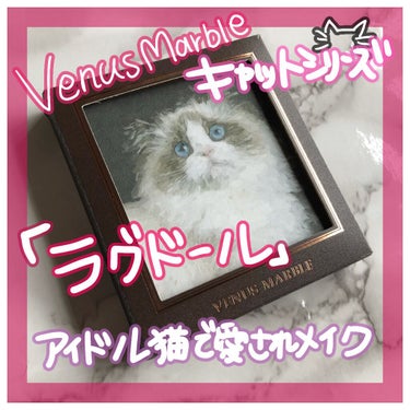 Venus Marble アイシャドウキャットシリーズ/Venus Marble/パウダーアイシャドウを使ったクチコミ（1枚目）