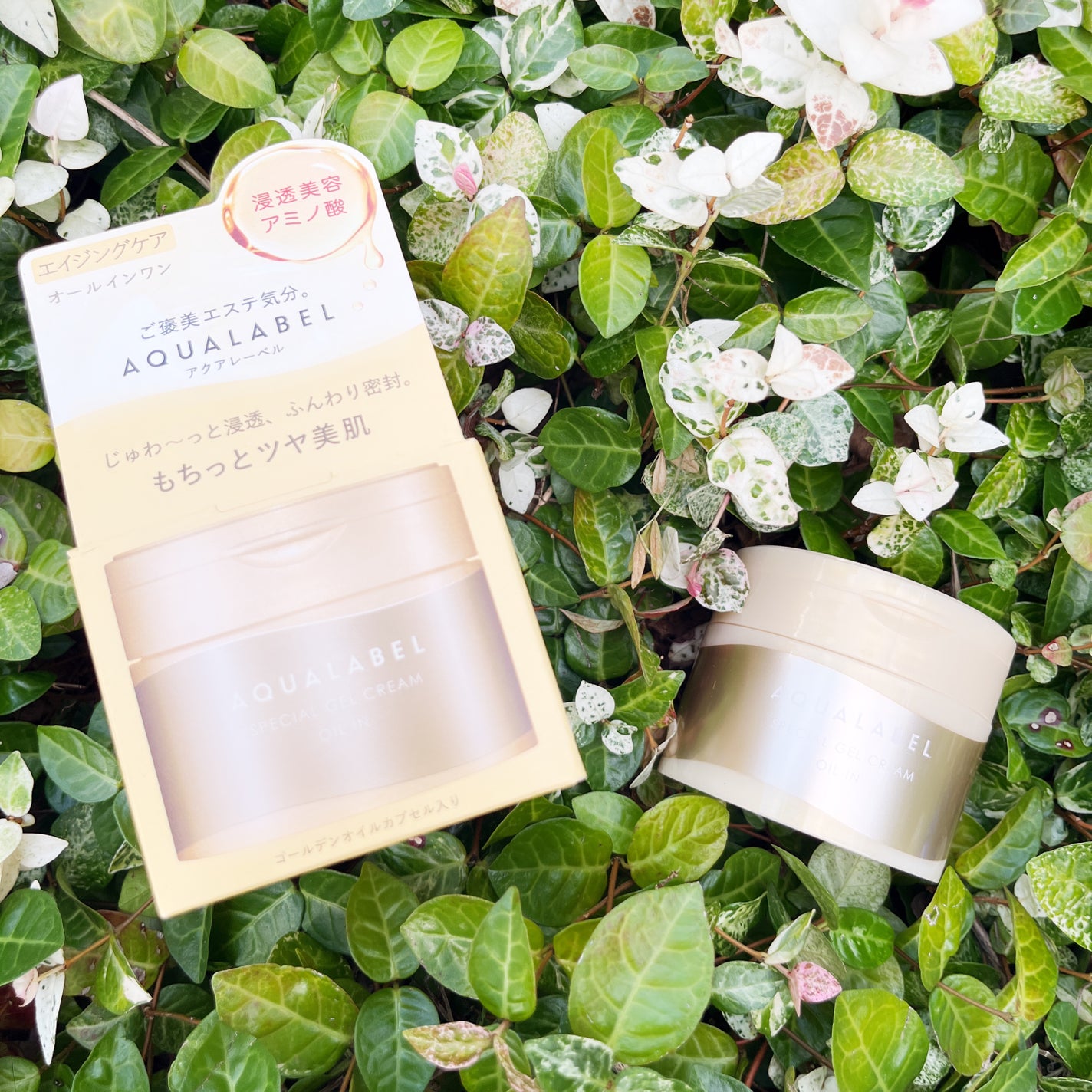 スペシャルジェルクリーム EX (オイルイン)/アクアレーベル/オールインワン化粧品を使ったクチコミ(1枚目)