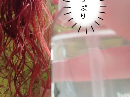 ウォーターダイヤモンド/ウォーターダイヤモンド/アウトバストリートメントを使ったクチコミ(5枚目)