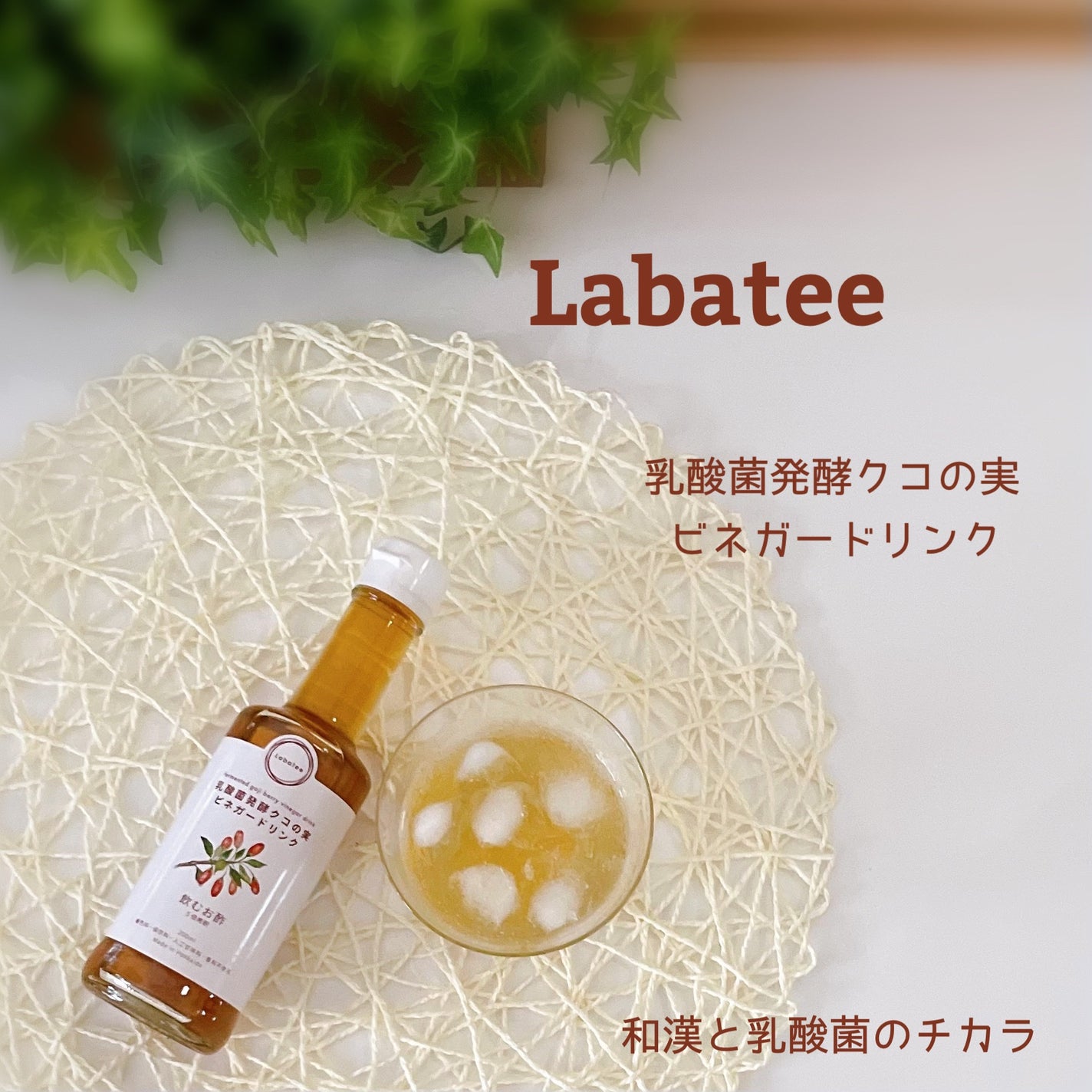 乳酸菌発酵 クコの実 ビネガードリンク /Labatee/その他飲むお酢を使ったクチコミ(6枚目)