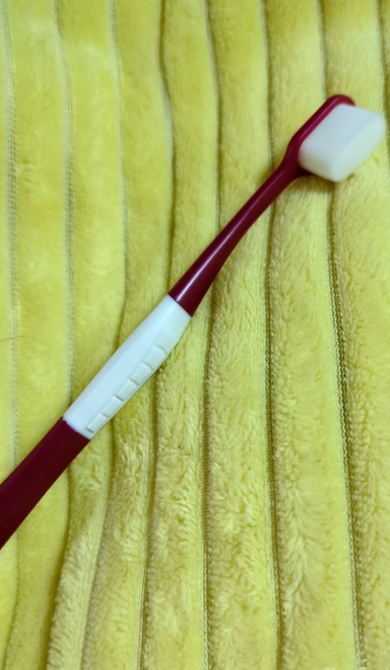 極細・歯ブラシ(やわらかめ)/DAISO/歯ブラシを使ったクチコミ（2枚目）