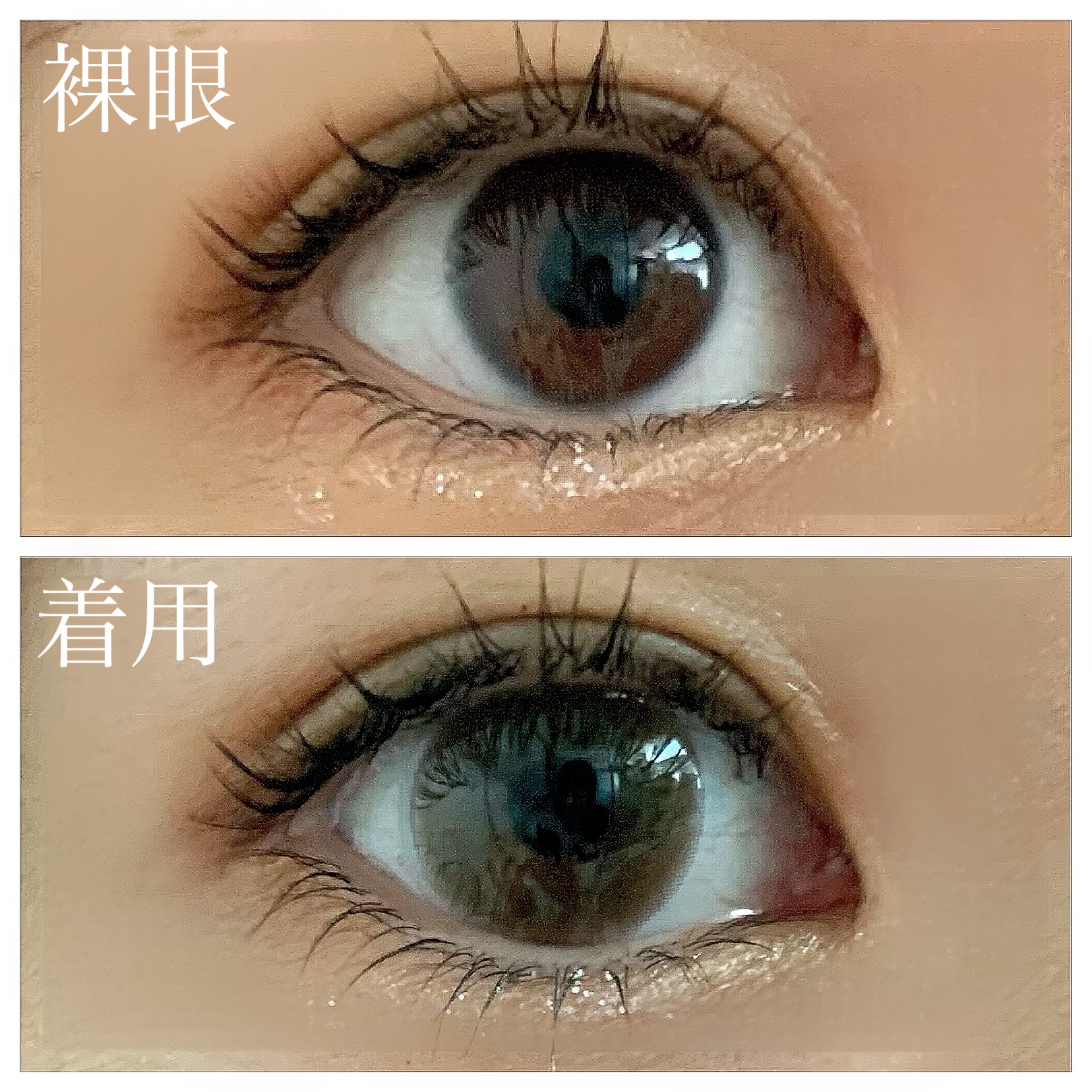 U.P.D. 1day/U.P.D./ワンデー（１DAY）カラコンを使ったクチコミ（2枚目）