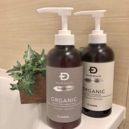 スカルプD ボーテ ナチュラスター スカルプシャンプー/トリートメントパック/アンファー(スカルプD)/シャンプー・コンディショナーを使ったクチコミ(1枚目)