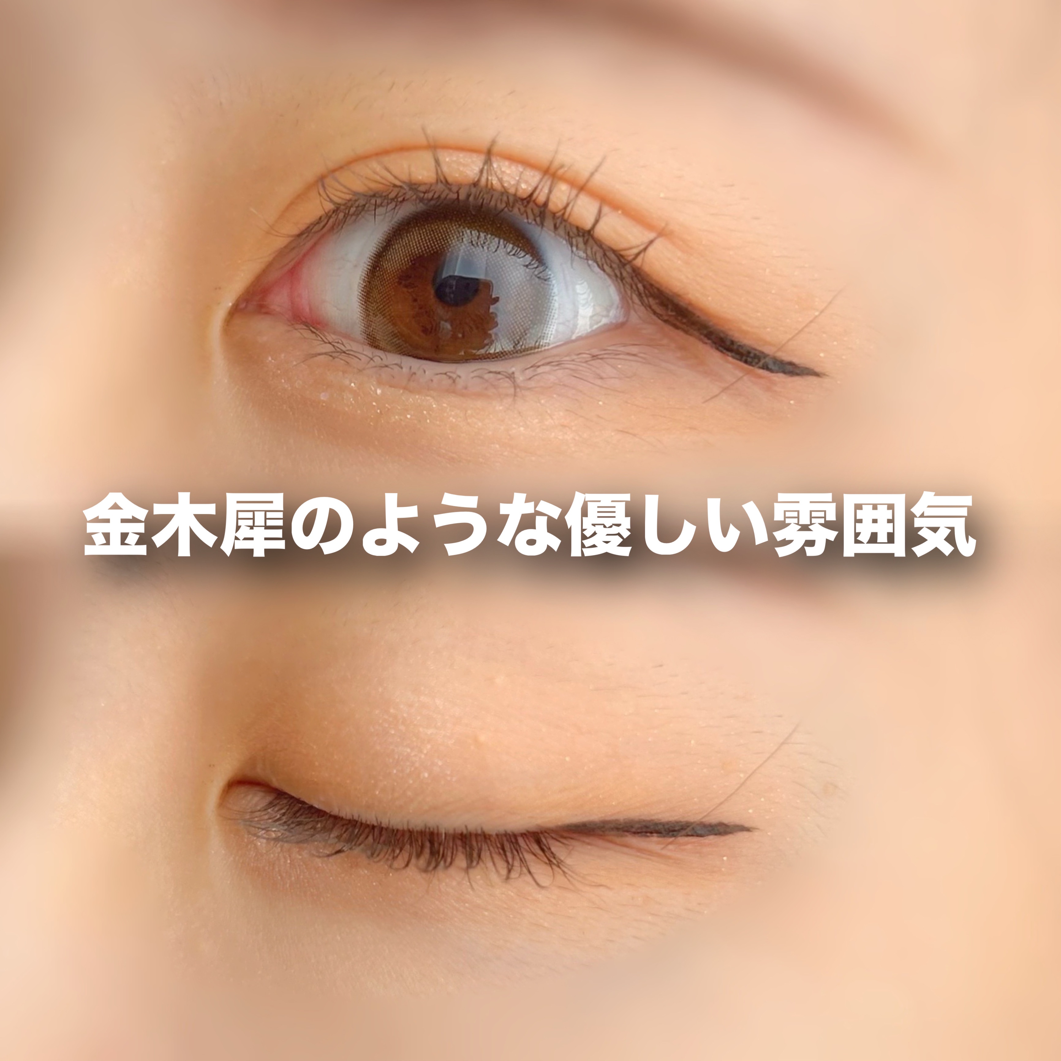 シャドウパレット/dasique/アイシャドウパレットを使ったクチコミ（2枚目）