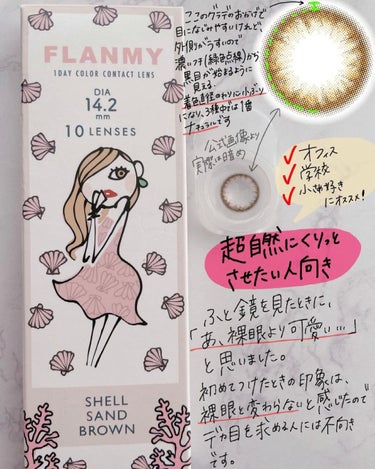 FLANMY 1day（10枚/30枚） シェルコーラルグレージュ/FLANMY/ワンデー（１DAY）カラコンを使ったクチコミ（3枚目）