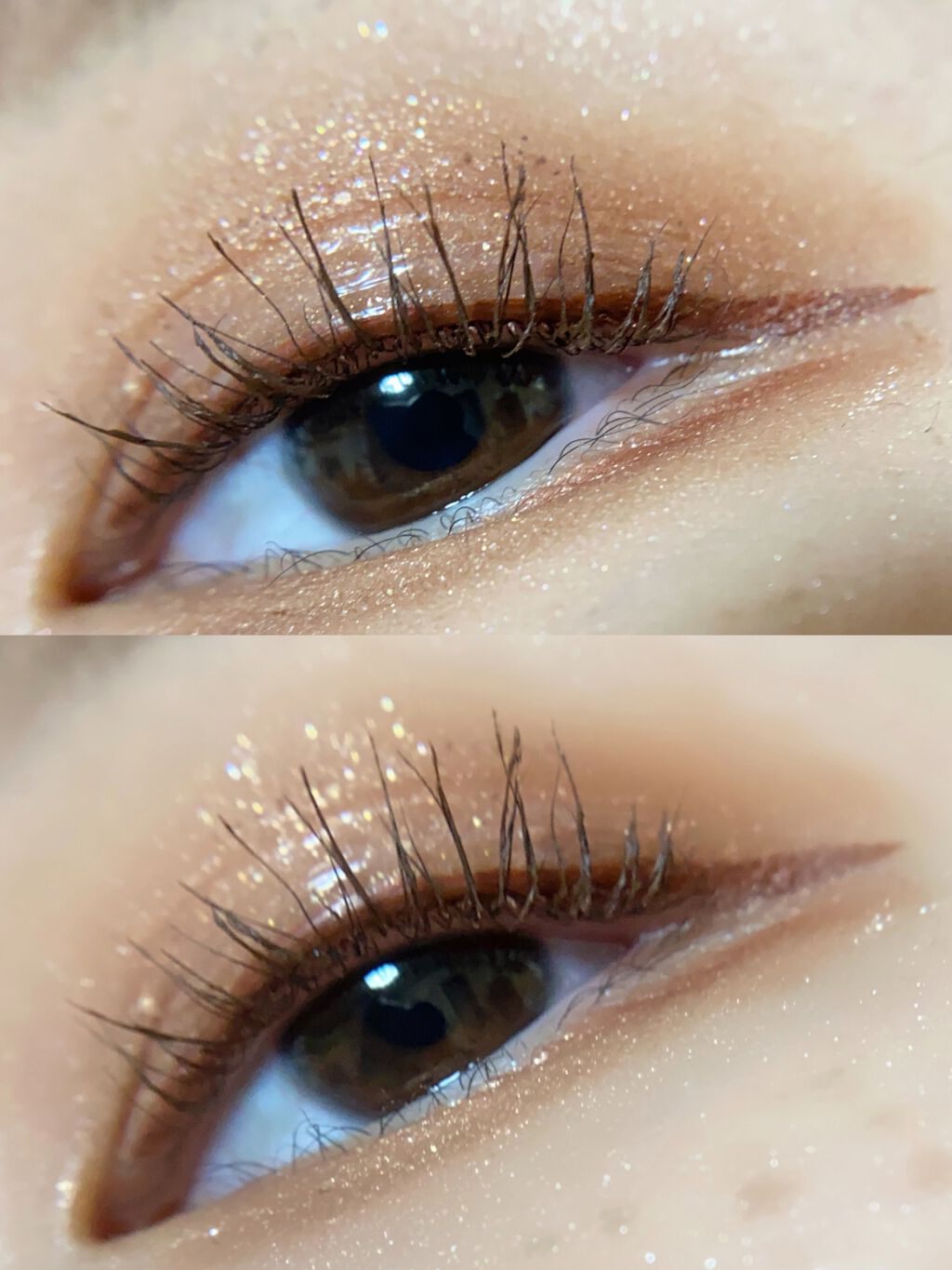 The Bella collection eyeshadow palette/CELEFIT/アイシャドウパレットを使ったクチコミ(8枚目)