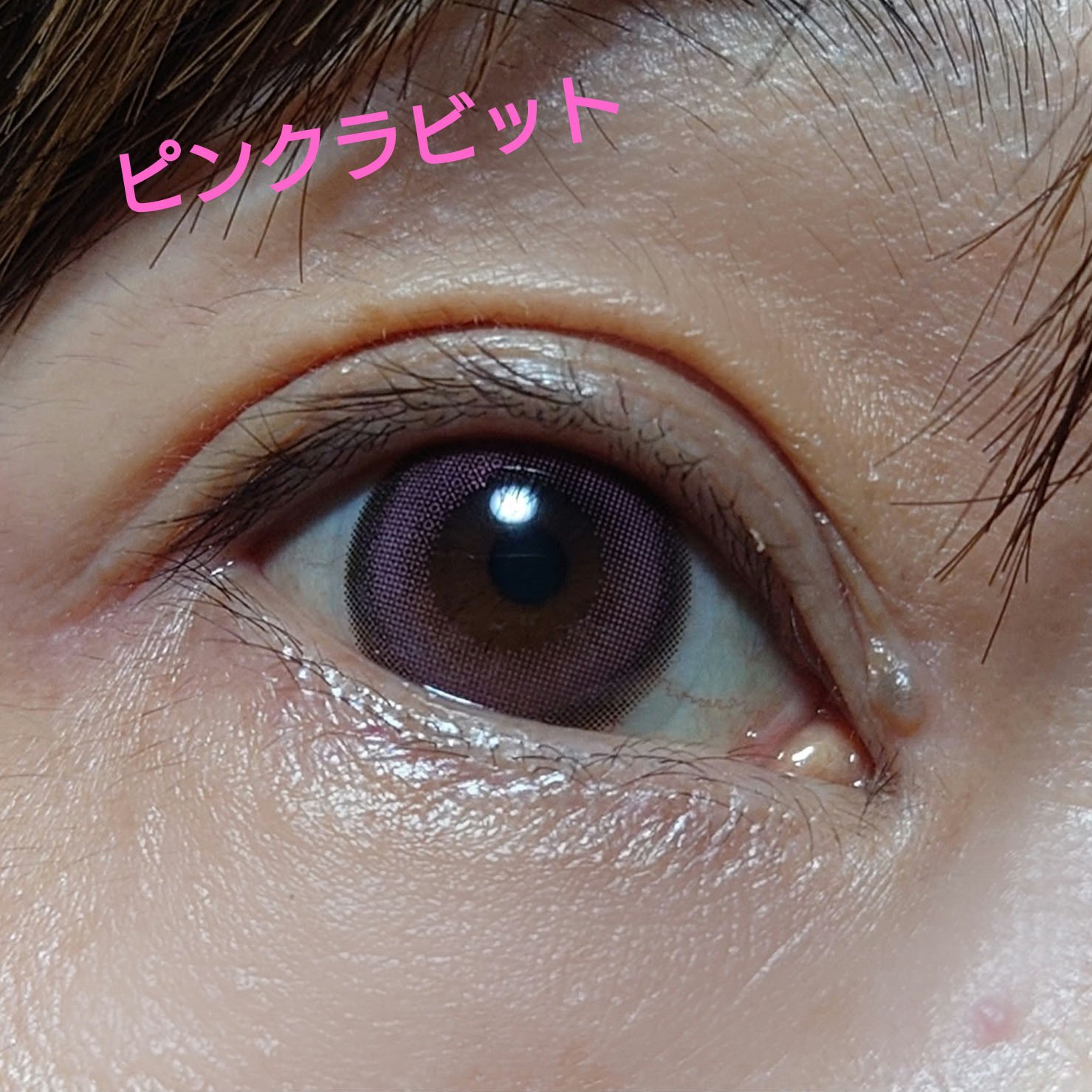 ワンデーリフレア　メレシェス ジュエルベリー/Refrear/ワンデー（１DAY）カラコンを使ったクチコミ（2枚目）