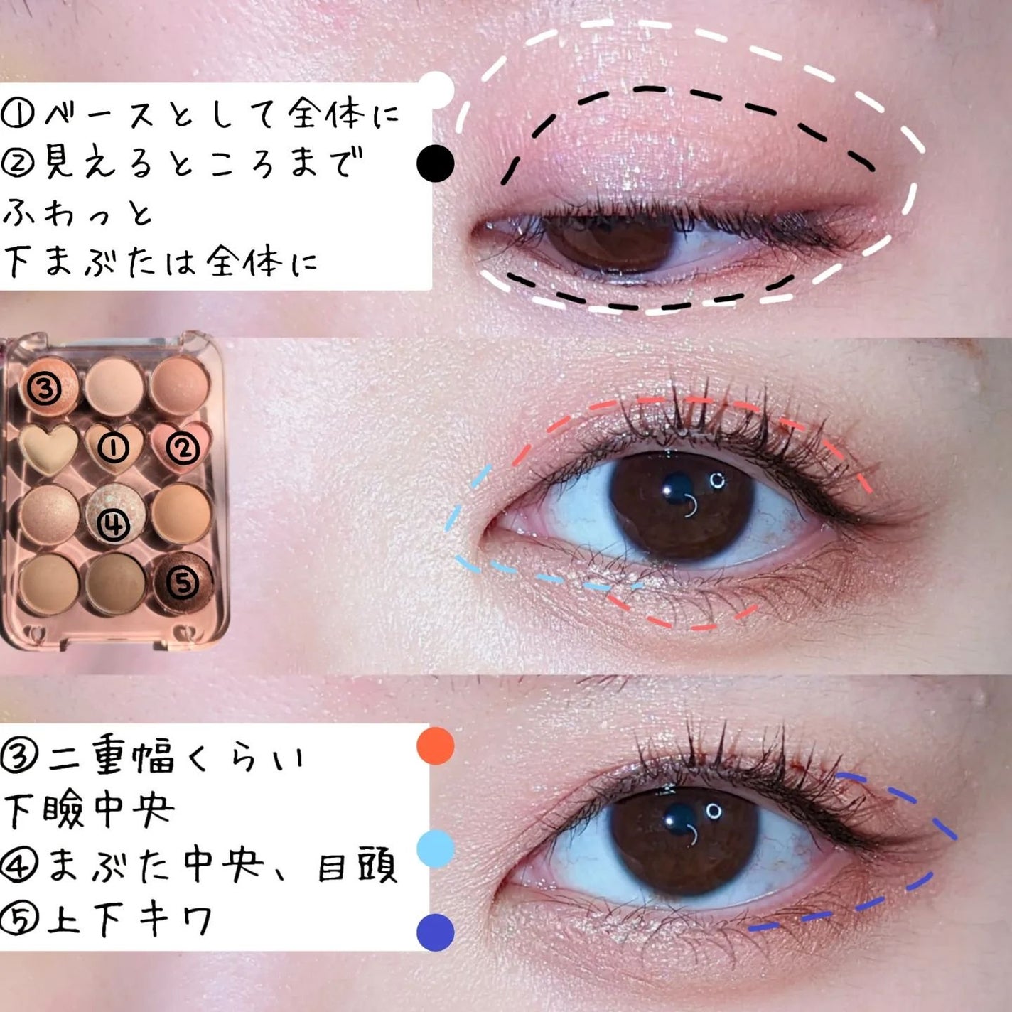 目元チュートリアルアイパレット/Colorgram/アイシャドウパレットを使ったクチコミ(5枚目)
