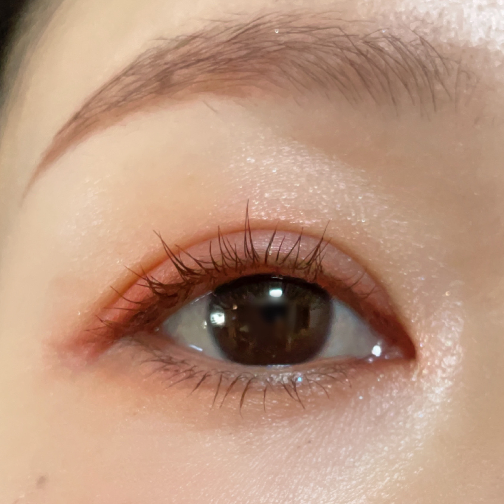 ジルスチュアート ニュアンスブロウパレット 06 red shade/JILL STUART/パウダーアイブロウを使ったクチコミ（1枚目）