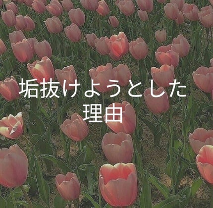 è¯æð·.* on LIPS ãðžæ¥äŒã¿æçš¿6æ¥ç®ðžä»æ¥ã¯ç§ã墿ããããšããçç±ã話ããŸãïŒ..ãïŒ1æç®ïŒ